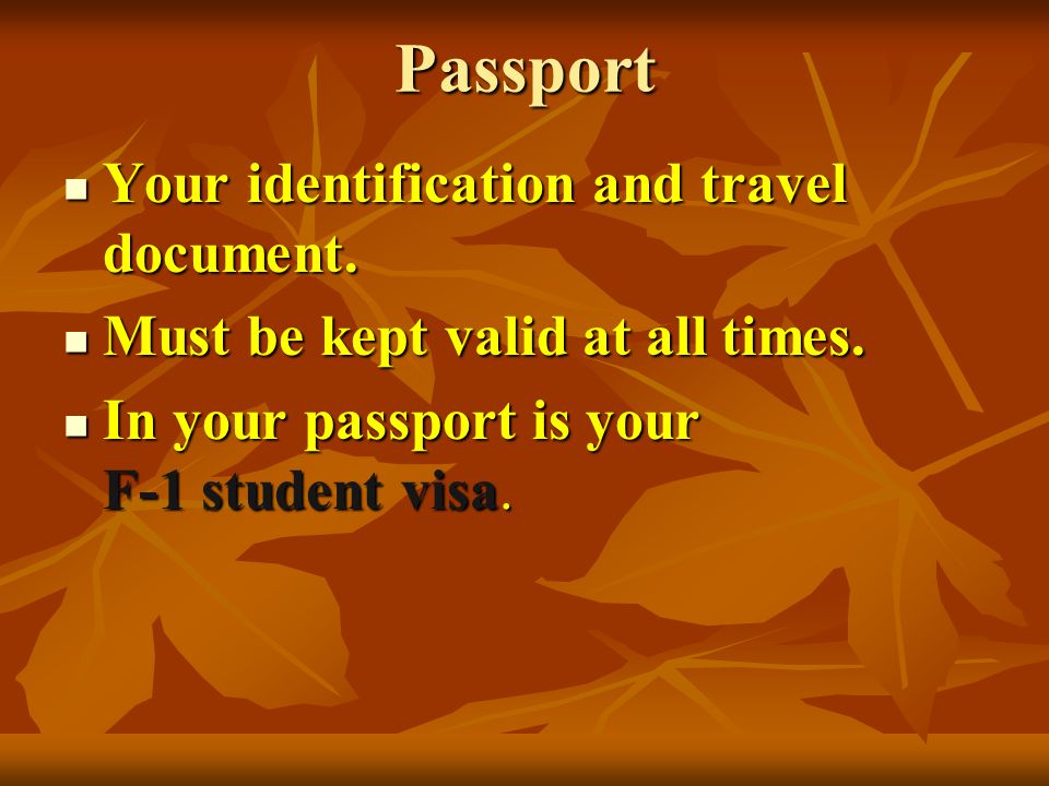 Passport Your identification and travel document. Must be kept valid at all times.