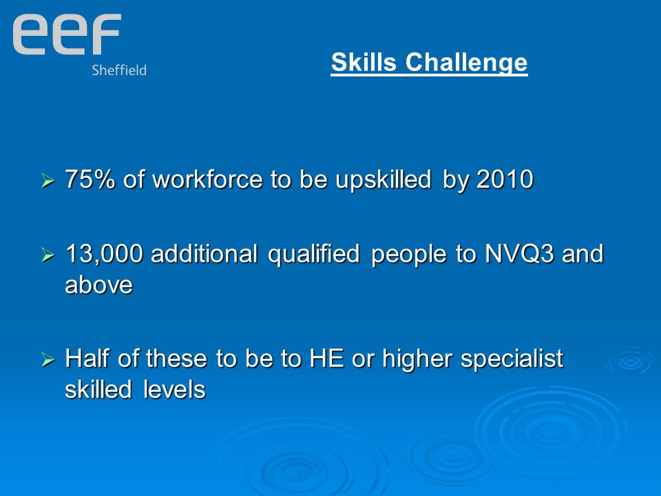 Skills Challenge  75% of workforce to be upskilled by 2010  13,000 additional qualified people to NVQ3 and above  Half of these to be to HE or higher specialist skilled levels