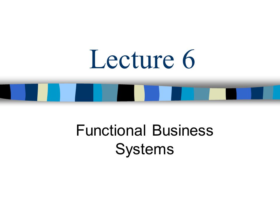 Lecture 6 Functional Business Systems