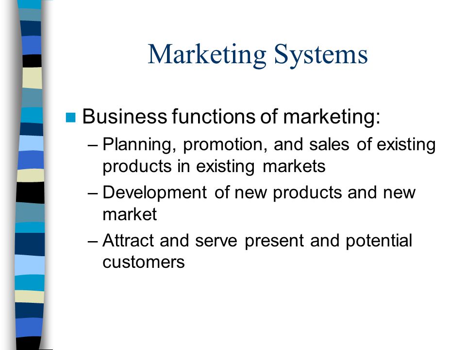 Marketing Systems Business functions of marketing: –Planning, promotion, and sales of existing products in existing markets –Development of new products and new market –Attract and serve present and potential customers