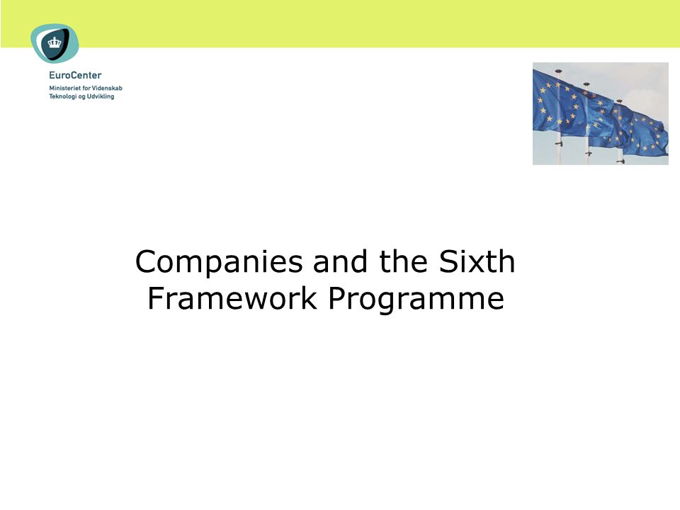 Companies and the Sixth Framework Programme