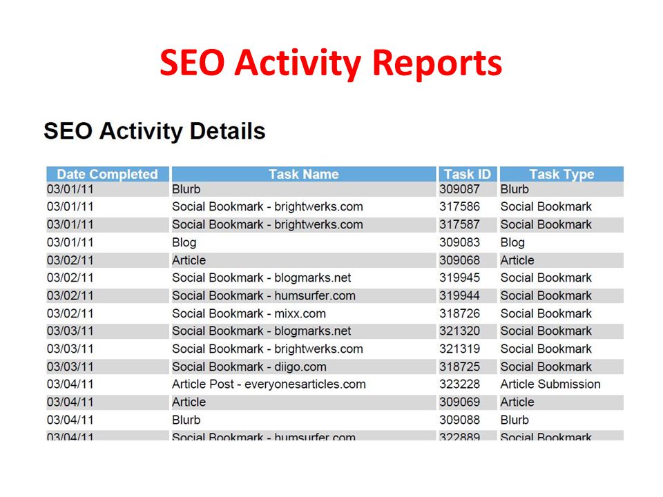 SEO Activity Reports