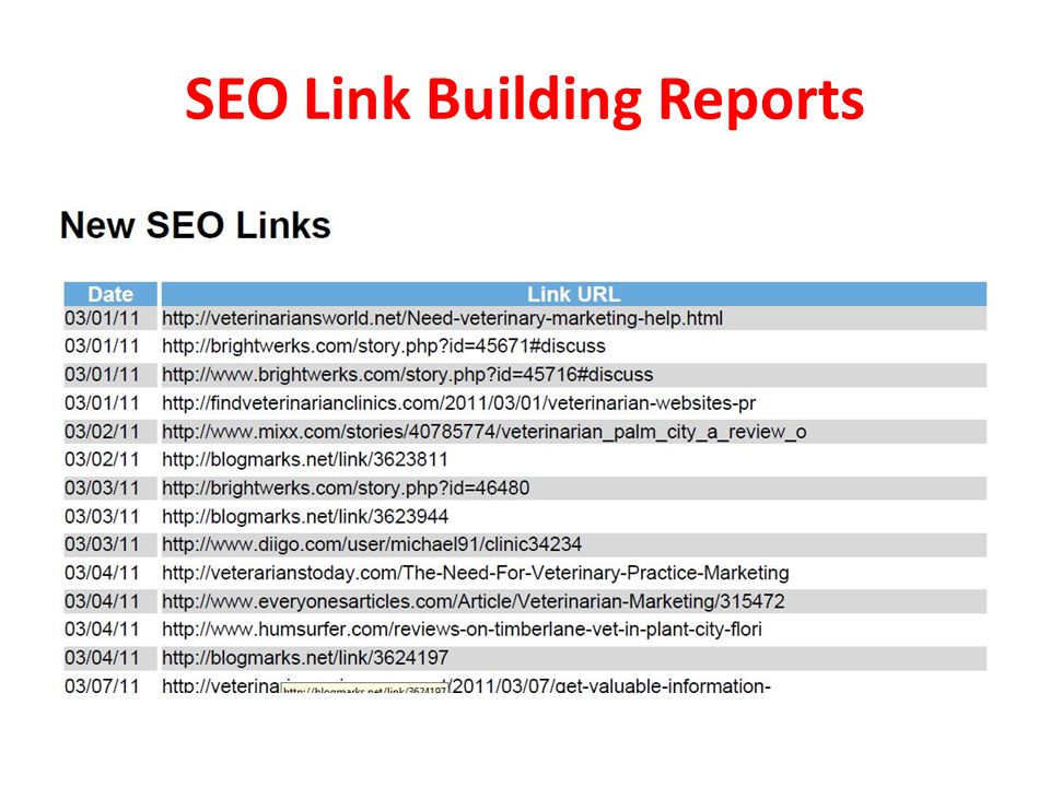 SEO Link Building Reports