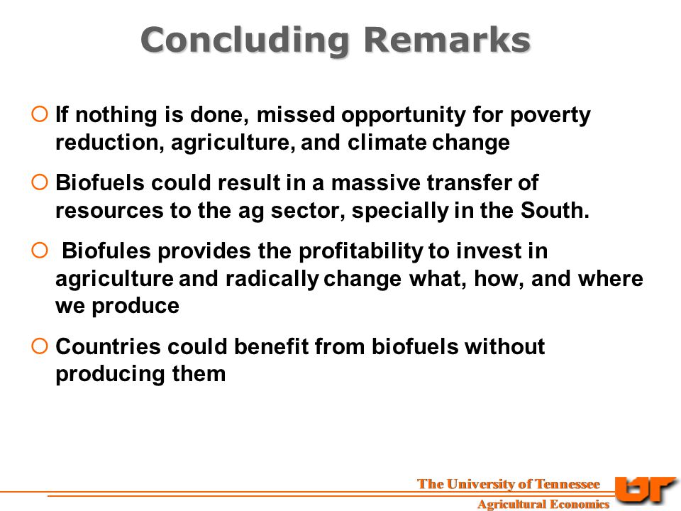 Concluding Remarks  If nothing is done, missed opportunity for poverty reduction, agriculture, and climate change  Biofuels could result in a massive transfer of resources to the ag sector, specially in the South.
