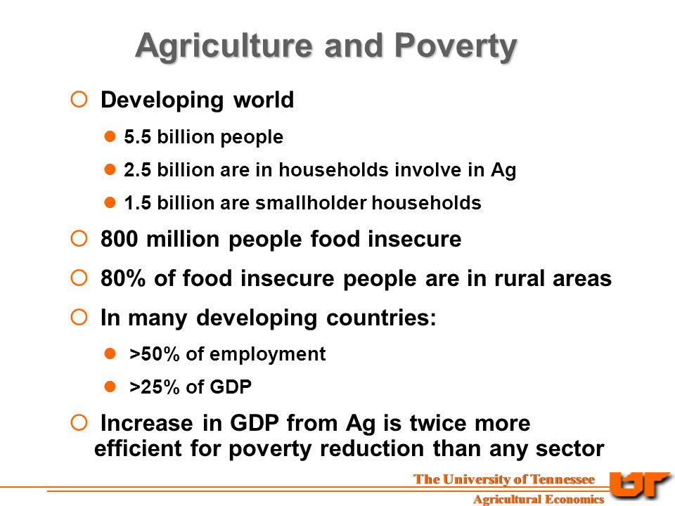 Agriculture and Poverty  Developing world 5.5 billion people 2.5 billion are in households involve in Ag 1.5 billion are smallholder households  800 million people food insecure  80% of food insecure people are in rural areas  In many developing countries: >50% of employment >25% of GDP  Increase in GDP from Ag is twice more efficient for poverty reduction than any sector