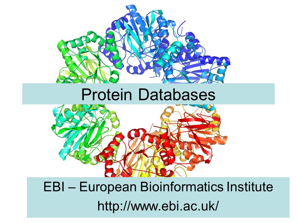 European bioinformatics institute ppt presentation