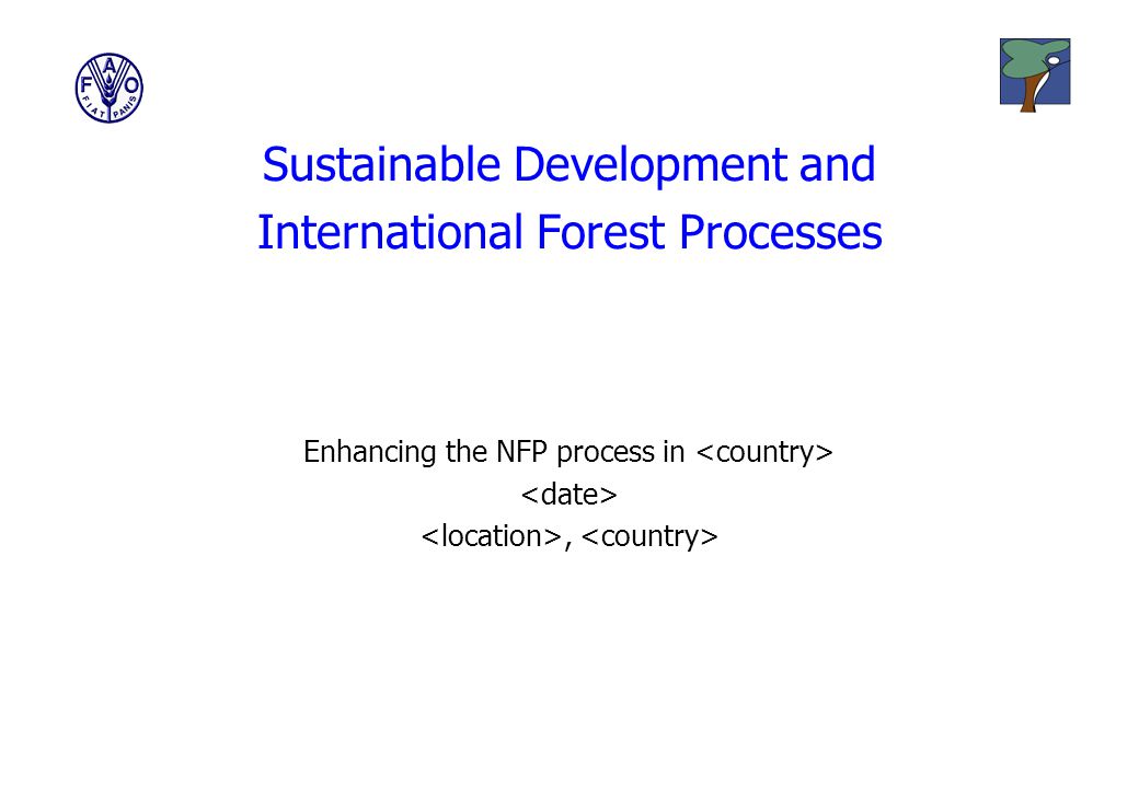 Sustainable Development and International Forest Processes Enhancing the NFP process in,