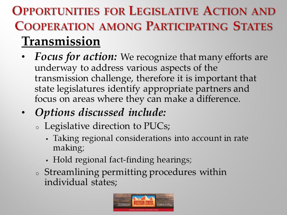 Transmission Focus for action: We recognize that many efforts are underway to address various aspects of the transmission challenge, therefore it is important that state legislatures identify appropriate partners and focus on areas where they can make a difference.