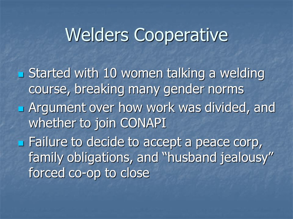 Welders Cooperative Started with 10 women talking a welding course, breaking many gender norms Started with 10 women talking a welding course, breaking many gender norms Argument over how work was divided, and whether to join CONAPI Argument over how work was divided, and whether to join CONAPI Failure to decide to accept a peace corp, family obligations, and husband jealousy forced co-op to close Failure to decide to accept a peace corp, family obligations, and husband jealousy forced co-op to close