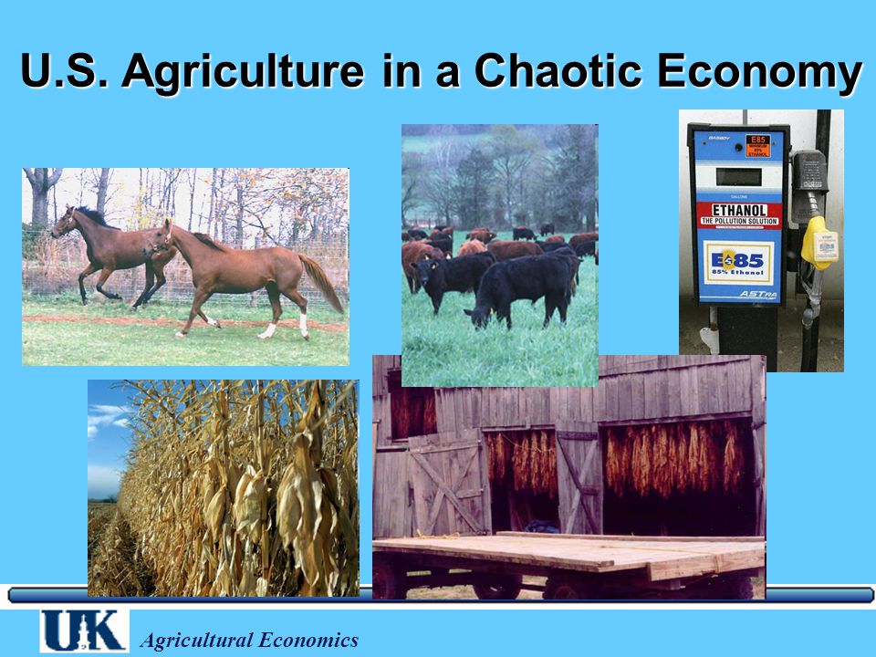 Agricultural Economics U.S. Agriculture in a Chaotic Economy