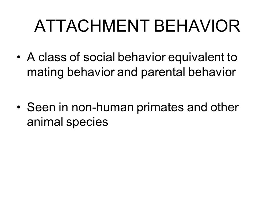 ATTACHMENT BEHAVIOR A class of social behavior equivalent to mating behavior and parental behavior Seen in non-human primates and other animal species