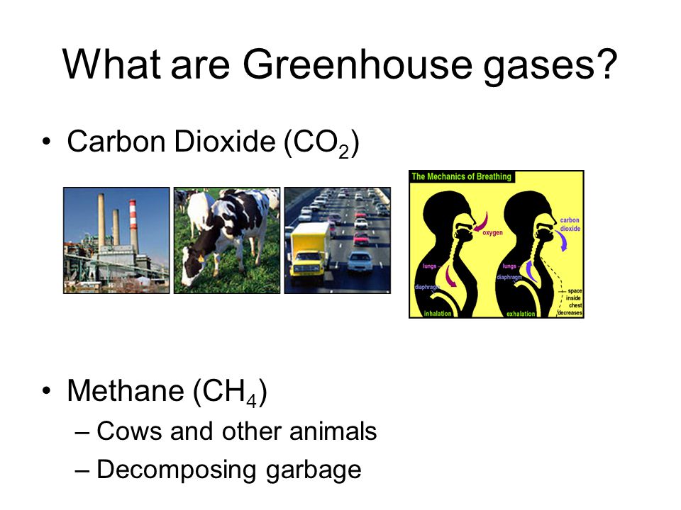 What are Greenhouse gases.