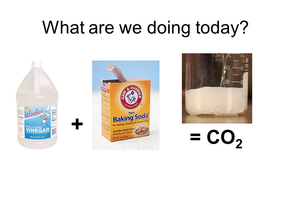What are we doing today + = CO 2