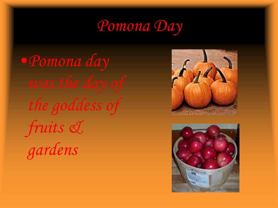 Pomona Day Pomona day was the day of the goddess of fruits & gardens