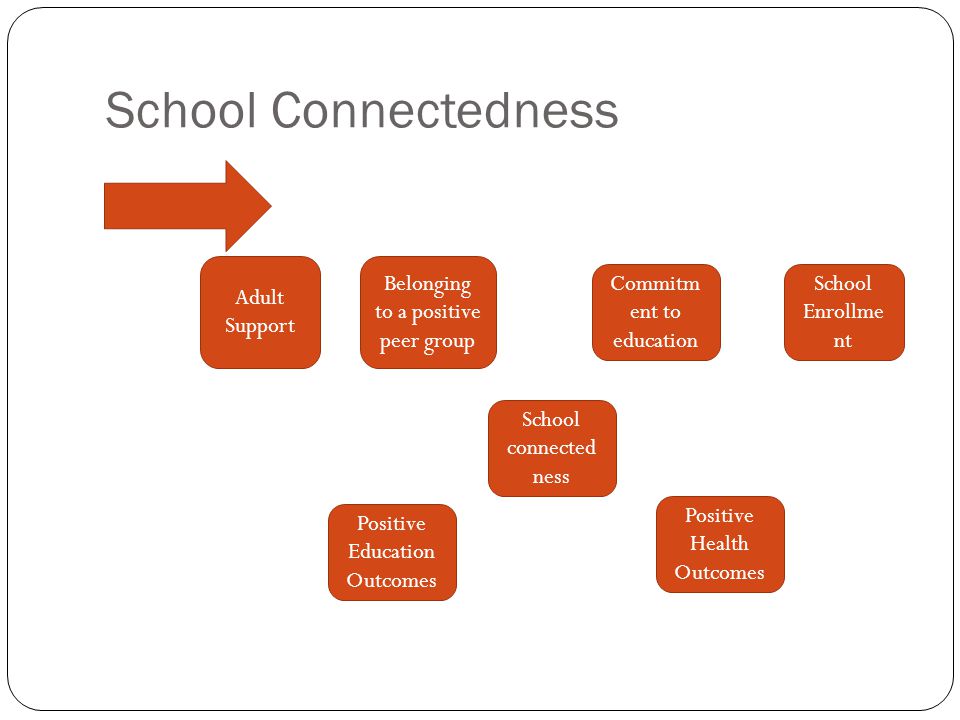 School Connectedness Adult Support Belonging to a positive peer group Commitm ent to education School Enrollme nt School connected ness Positive Education Outcomes Positive Health Outcomes
