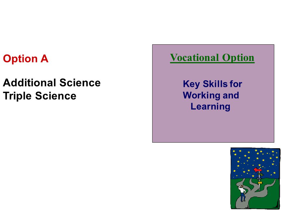 Vocational Option Key Skills for Working and Learning Option A Additional Science Triple Science