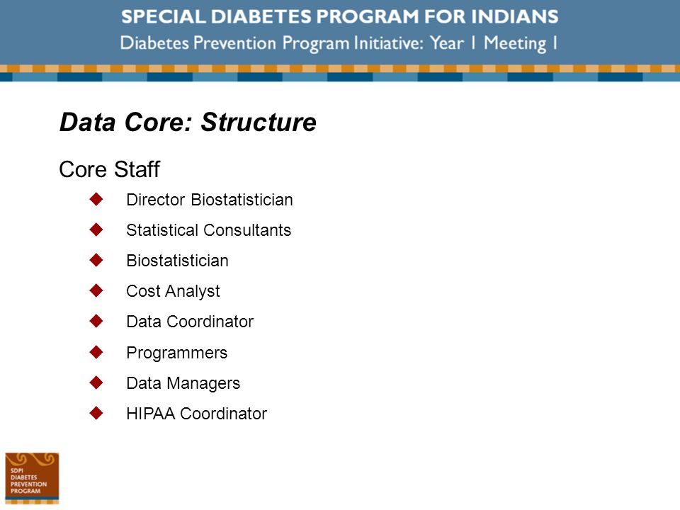 Data Core: Structure Core Staff  Director Biostatistician  Statistical Consultants  Biostatistician  Cost Analyst  Data Coordinator  Programmers  Data Managers  HIPAA Coordinator