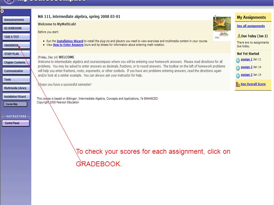 To check your scores for each assignment, click on GRADEBOOK.