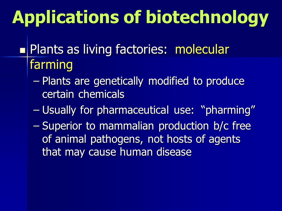 Applications of biotechnology Plants as living factories: molecular farming Plants as living factories: molecular farming –Plants are genetically modified to produce certain chemicals –Usually for pharmaceutical use: pharming –Superior to mammalian production b/c free of animal pathogens, not hosts of agents that may cause human disease
