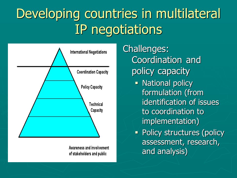 Developing countries in multilateral IP negotiations Challenges: Coordination and policy capacity  National policy formulation (from identification of issues to coordination to implementation)  Policy structures (policy assessment, research, and analysis)