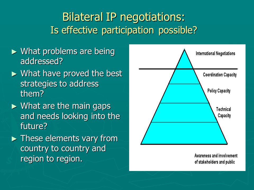 Bilateral IP negotiations: Is effective participation possible.