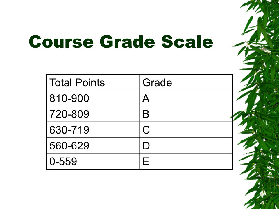 Course Grade Scale Total PointsGrade A B C D 0-559E