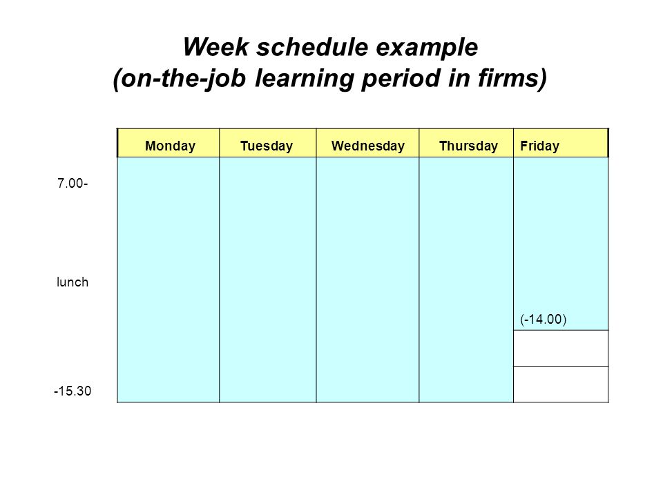 Week schedule example (on-the-job learning period in firms) MondayTuesday Wednesday ThursdayFriday (-14.00) lunch