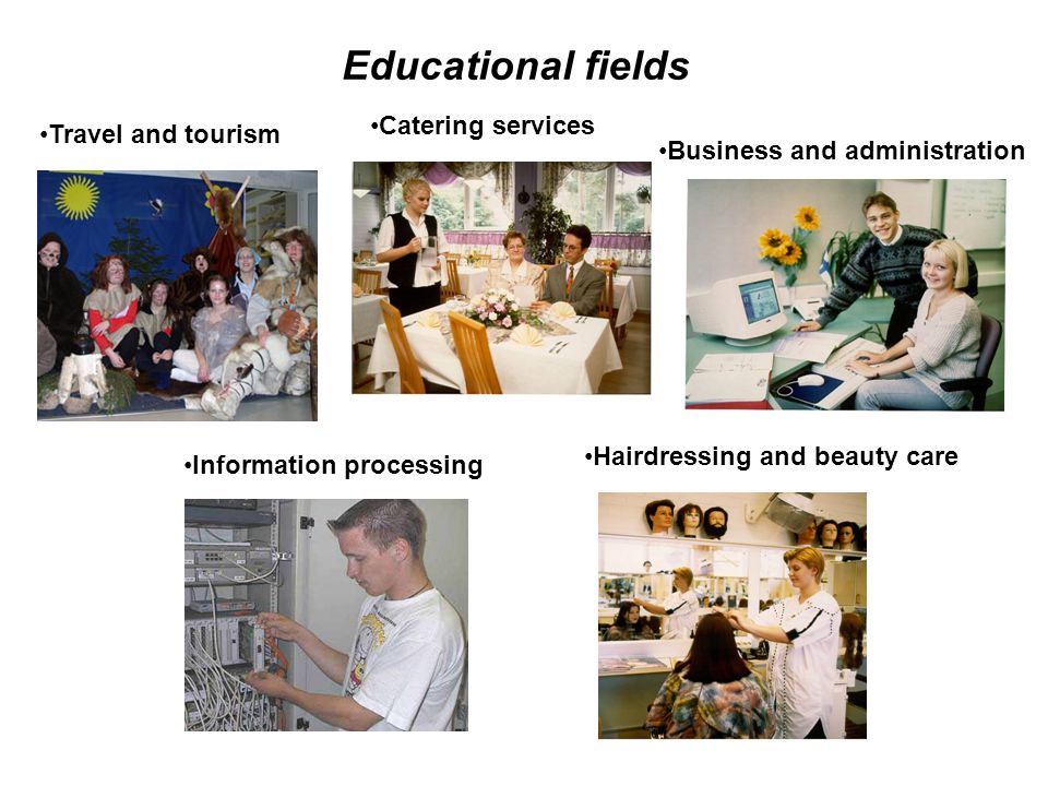 Business and administration Catering services Information processing Hairdressing and beauty care Educational fields Travel and tourism