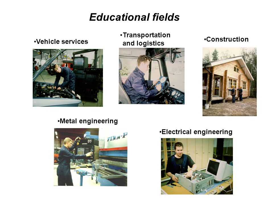 Electrical engineering Metal engineering Construction Transportation and logistics Vehicle services Educational fields