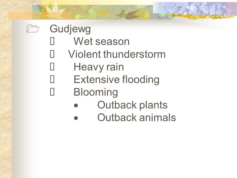  Gudjewg  Wet season  Violent thunderstorm  Heavy rain  Extensive flooding  Blooming  Outback plants  Outback animals
