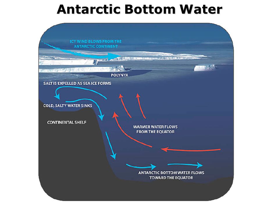 Antarctic Bottom Water