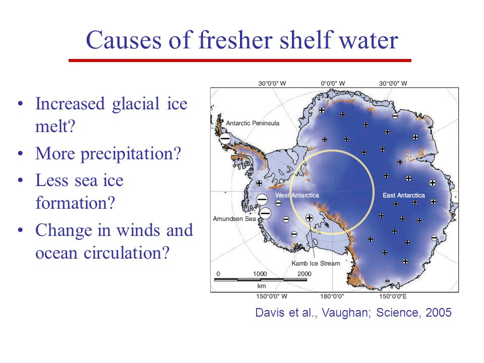 Causes of fresher shelf water Increased glacial ice melt.