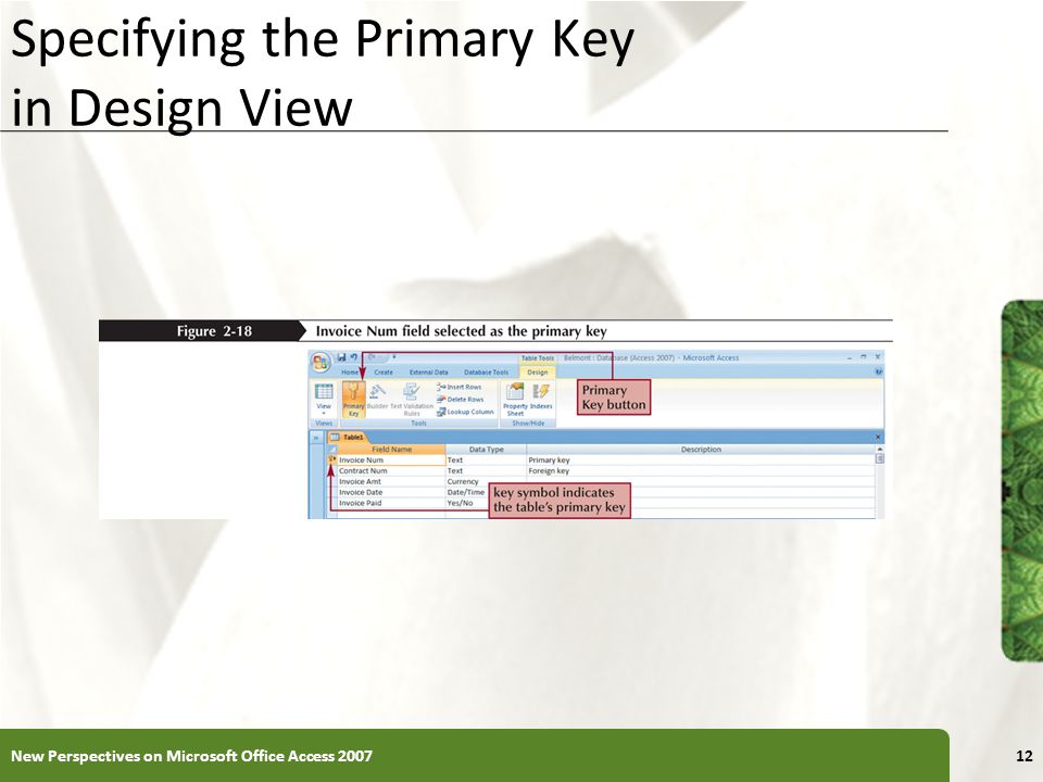 XP Specifying the Primary Key in Design View New Perspectives on Microsoft Office Access