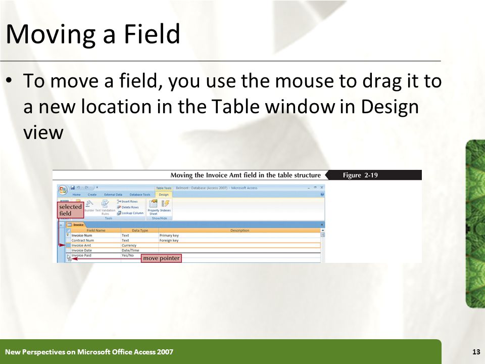 XP Moving a Field To move a field, you use the mouse to drag it to a new location in the Table window in Design view New Perspectives on Microsoft Office Access