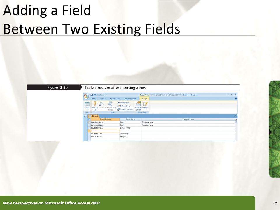 XP Adding a Field Between Two Existing Fields New Perspectives on Microsoft Office Access