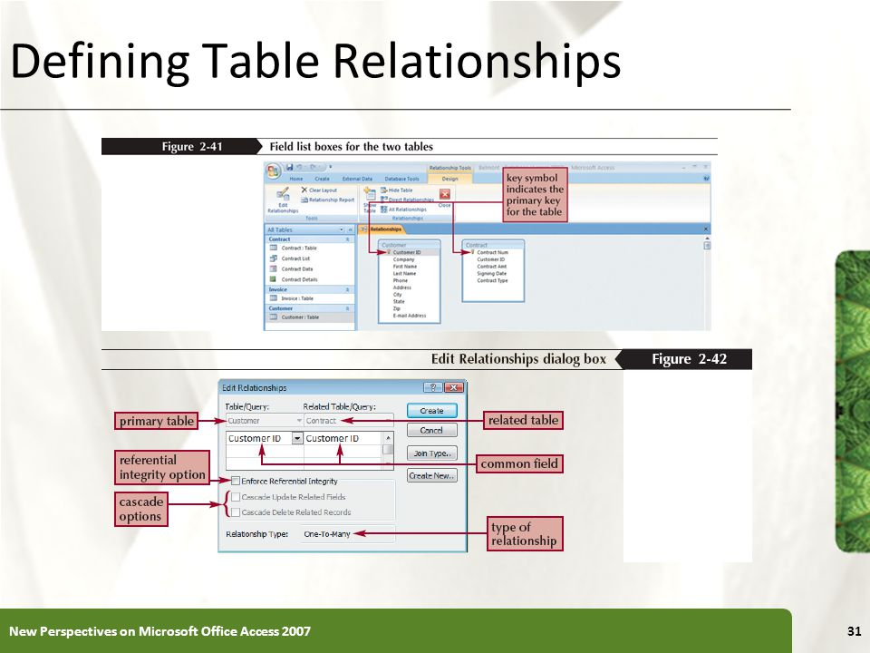 XP Defining Table Relationships New Perspectives on Microsoft Office Access