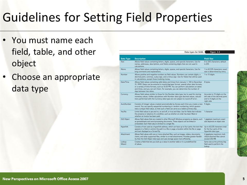 XP Guidelines for Setting Field Properties You must name each field, table, and other object Choose an appropriate data type New Perspectives on Microsoft Office Access 20075