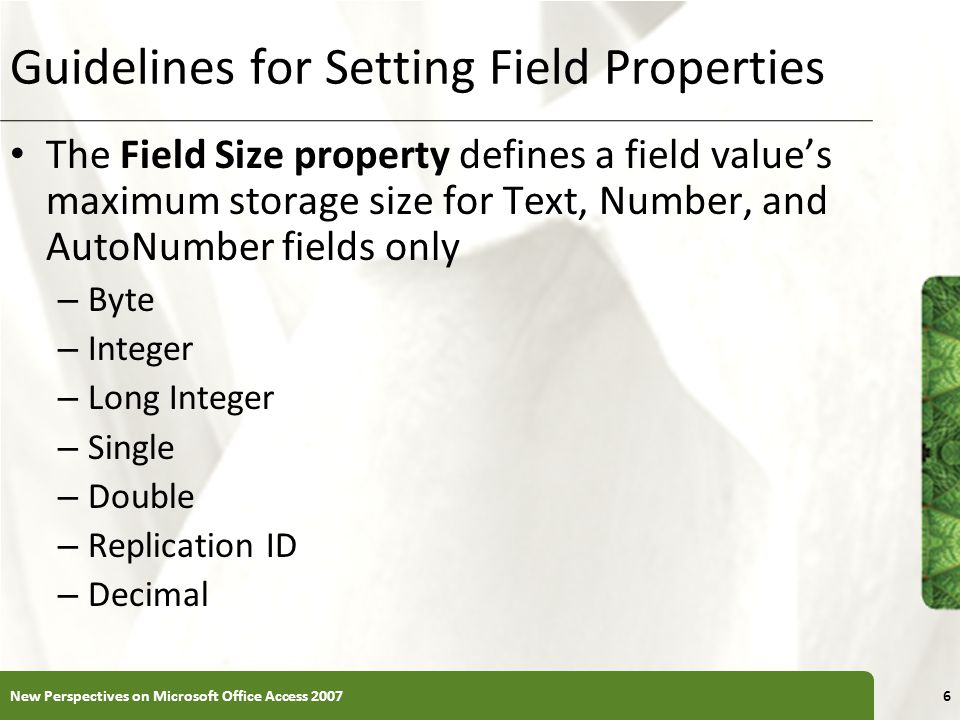 XP Guidelines for Setting Field Properties The Field Size property defines a field value’s maximum storage size for Text, Number, and AutoNumber fields only – Byte – Integer – Long Integer – Single – Double – Replication ID – Decimal New Perspectives on Microsoft Office Access 20076