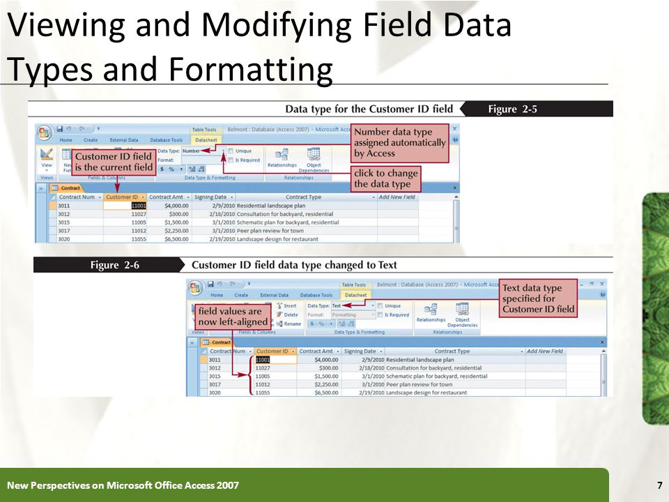 XP Viewing and Modifying Field Data Types and Formatting New Perspectives on Microsoft Office Access 20077