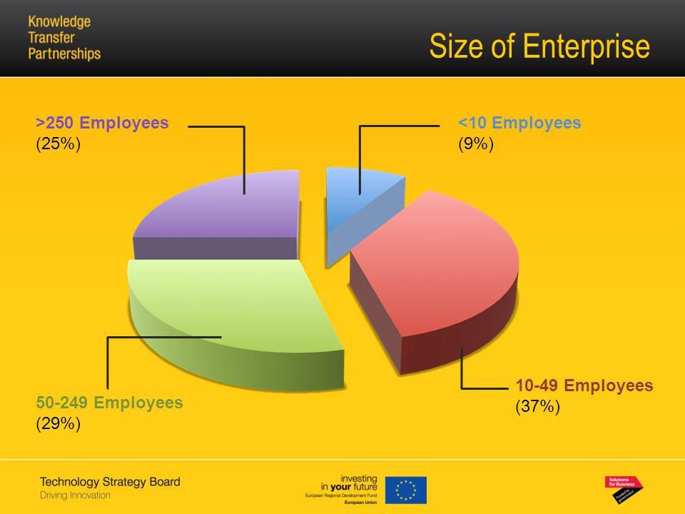 Size of Enterprise <10 Employees (9%) Employees (37%) Employees (29%) >250 Employees (25%)