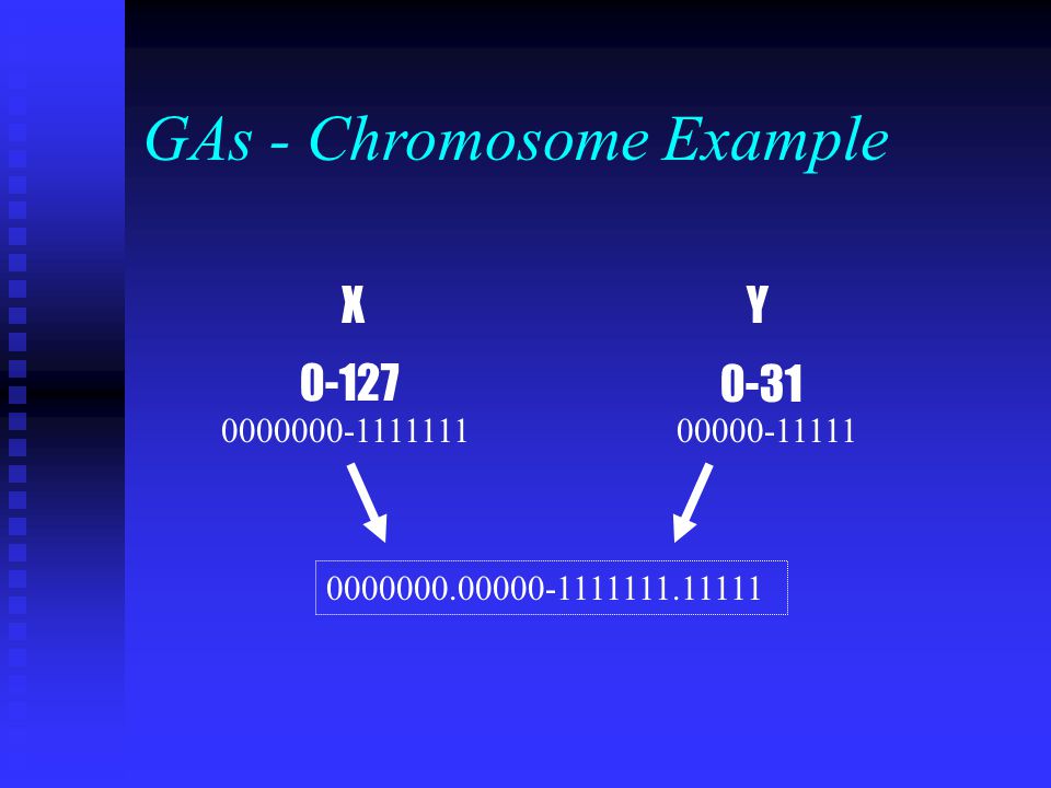 Bridging The Gap Between Applications And Tools Modeling 12 Gas Chromosome Example X 0 127 0000000 1111111 Y 31 00000 11111