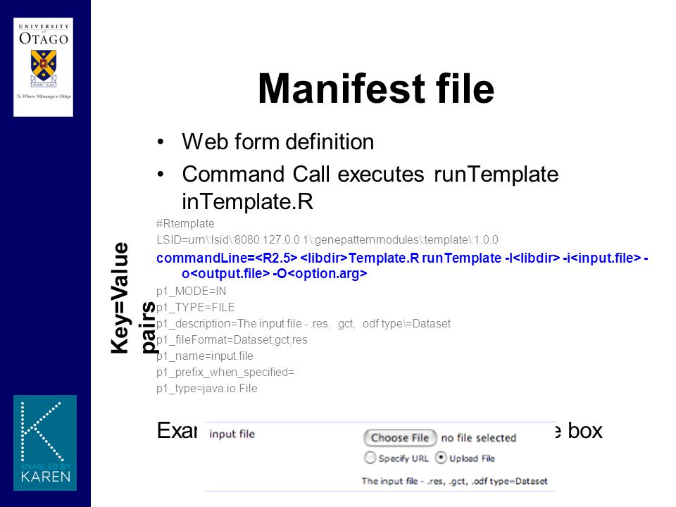 developing modules in genepattern for gene expression analysis reich gct file format