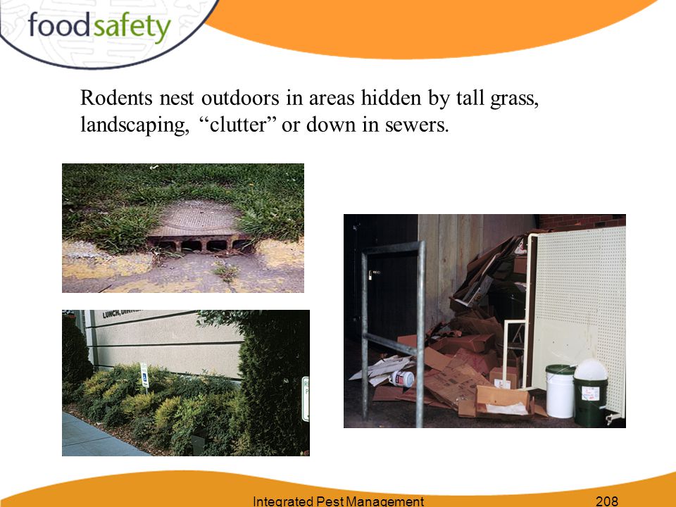 Integrated Pest Management208 Rodents nest outdoors in areas hidden by tall grass, landscaping, clutter or down in sewers.