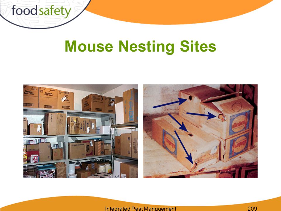 Integrated Pest Management209 Mouse Nesting Sites