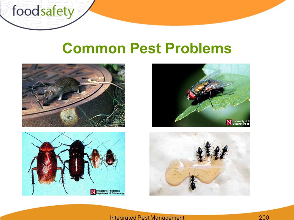 Integrated Pest Management200 Common Pest Problems