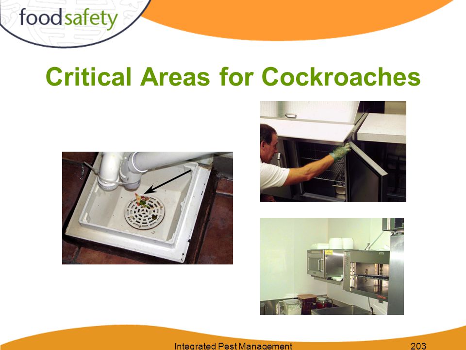 Integrated Pest Management203 Critical Areas for Cockroaches