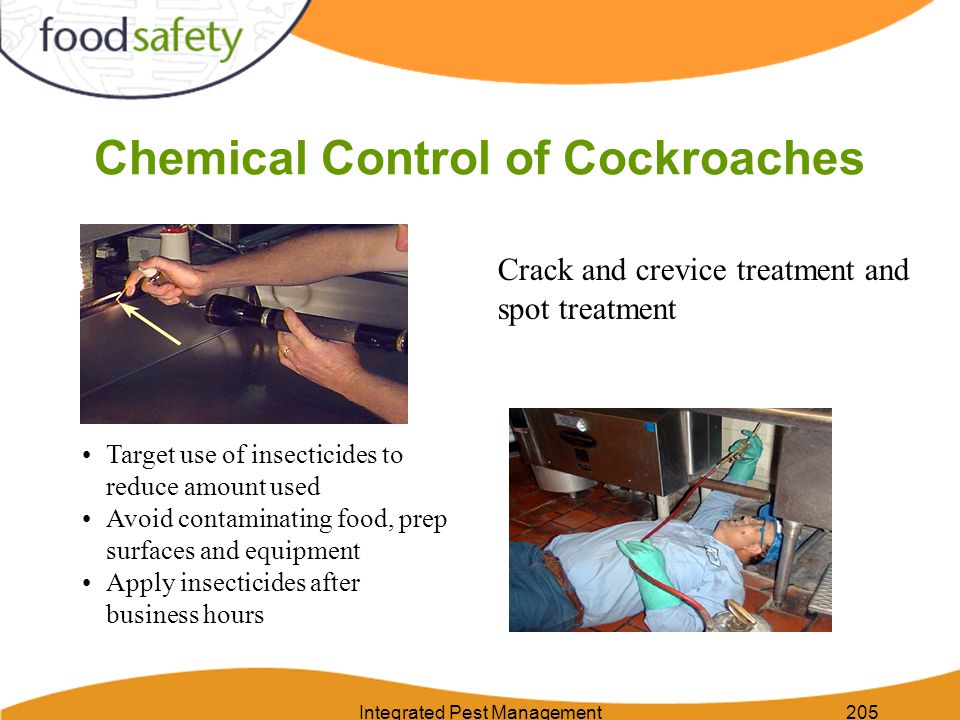 Integrated Pest Management205 Chemical Control of Cockroaches Crack and crevice treatment and spot treatment Target use of insecticides to reduce amount used Avoid contaminating food, prep surfaces and equipment Apply insecticides after business hours