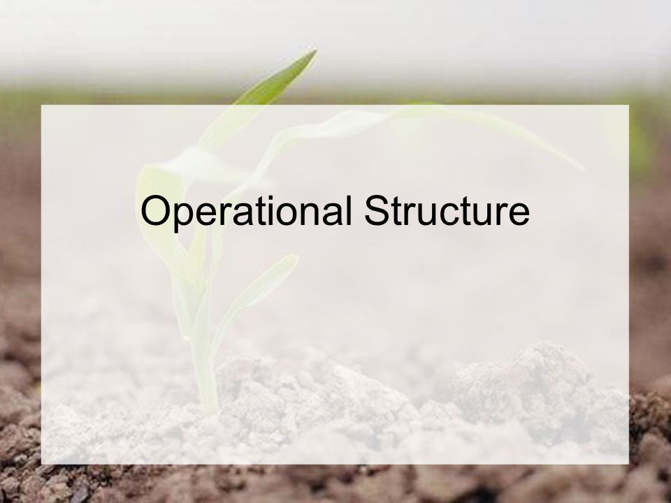 Operational Structure