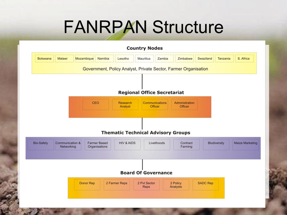 FANRPAN Structure
