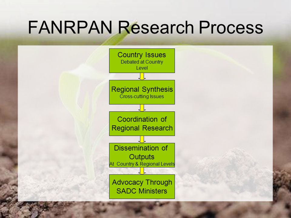 FANRPAN Research Process Country Issues Debated at Country Level Regional Synthesis Cross-cutting Issues Coordination of Regional Research Dissemination of Outputs At Country & Regional Levels Advocacy Through SADC Ministers